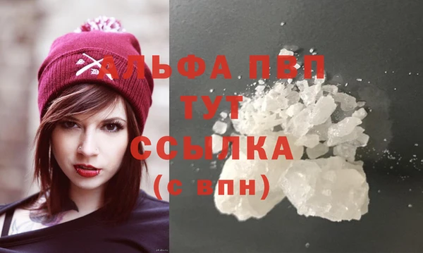 стафф Осташков