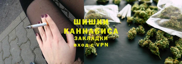 стафф Осташков