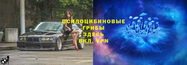 стафф Осташков